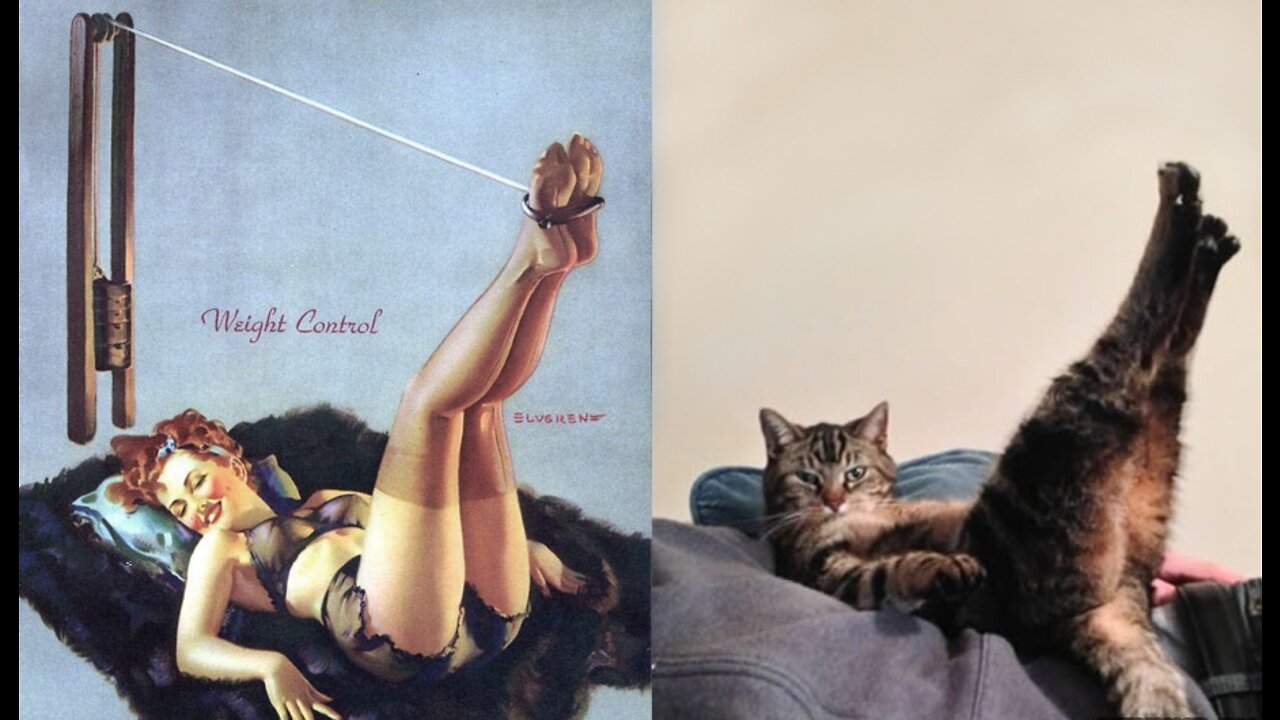 Kitty Notka poses gracefully on camera