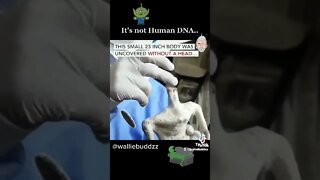 It's Not Human