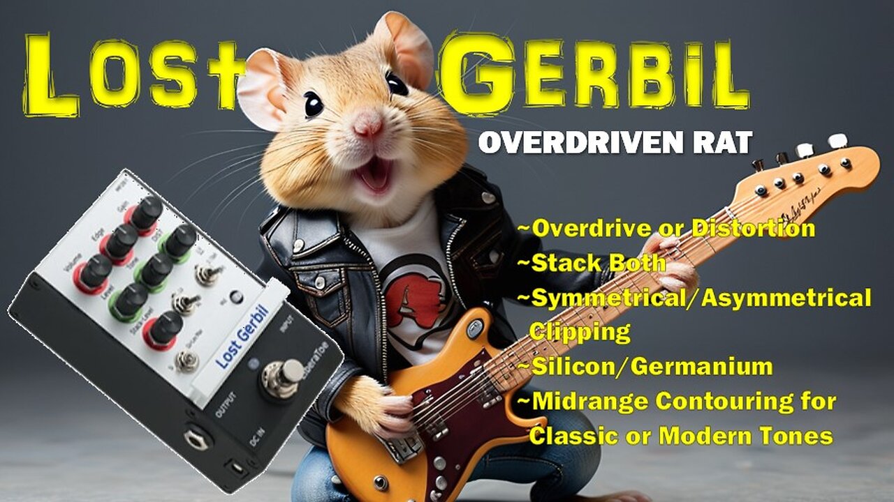 LOST GERBIL - Screaming Rat Distortion