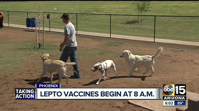 Leptospirosis vaccine available in Phoenix on Saturday morning