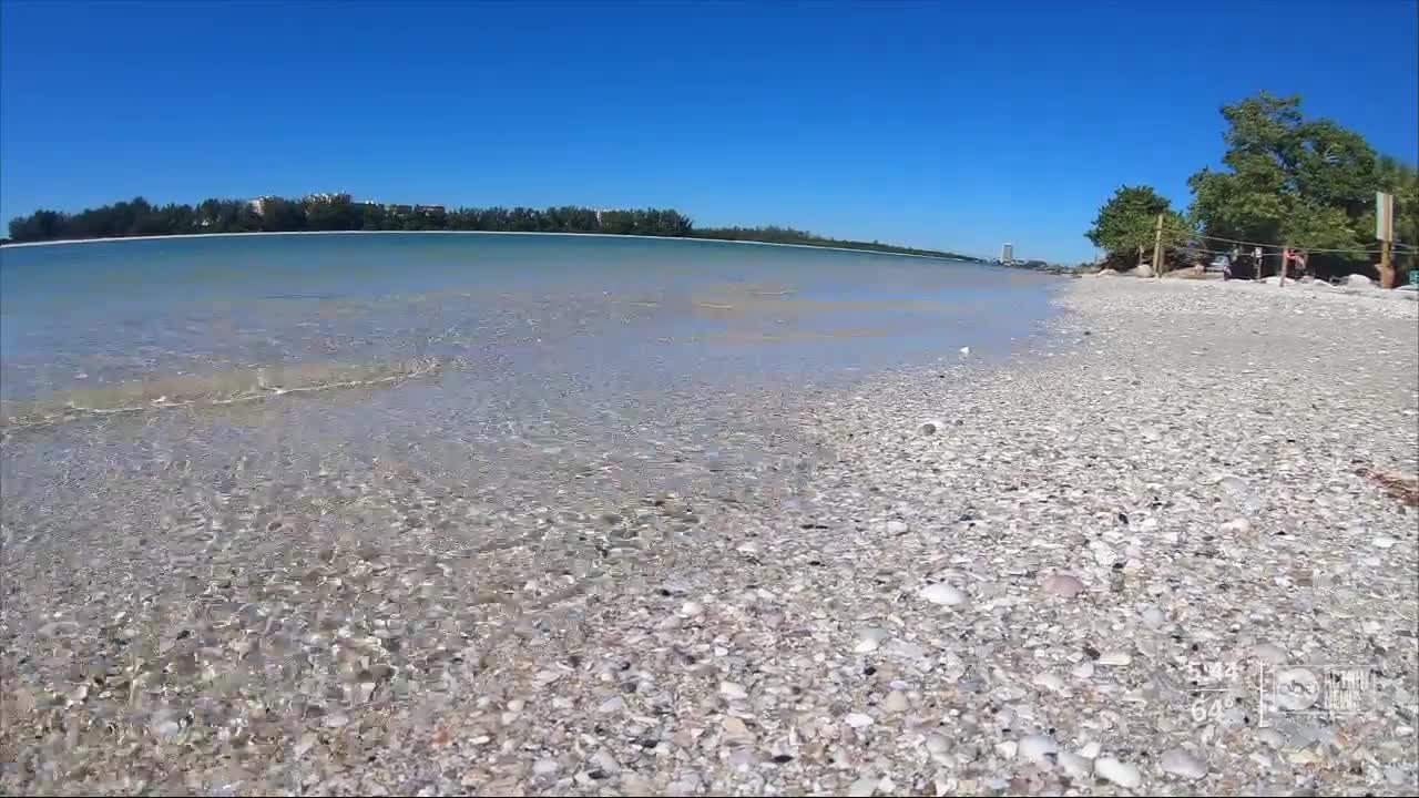 Homeowner blocks part of beach