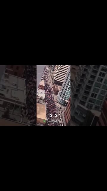 MASSIVE Crowds Out In Calgary #freedomconvoy2022 #canada #shorts