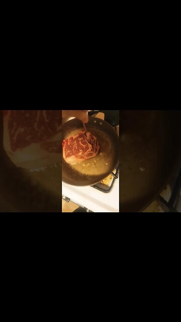 they eat off forks, so what? #dogs deserve #steak #pitbull #labrador