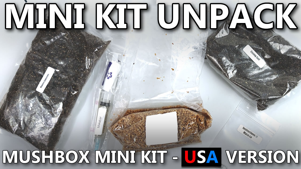 Mushroom Grow Kit Unpacking - Mini USA