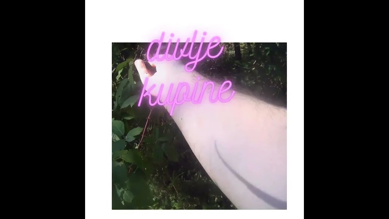 DIVLJE KUPINE | SHORTS VIDEO