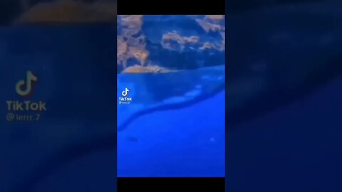 Beautiful Blue Sea #shorts #short #meme #memes #shortmemes #shortmeme