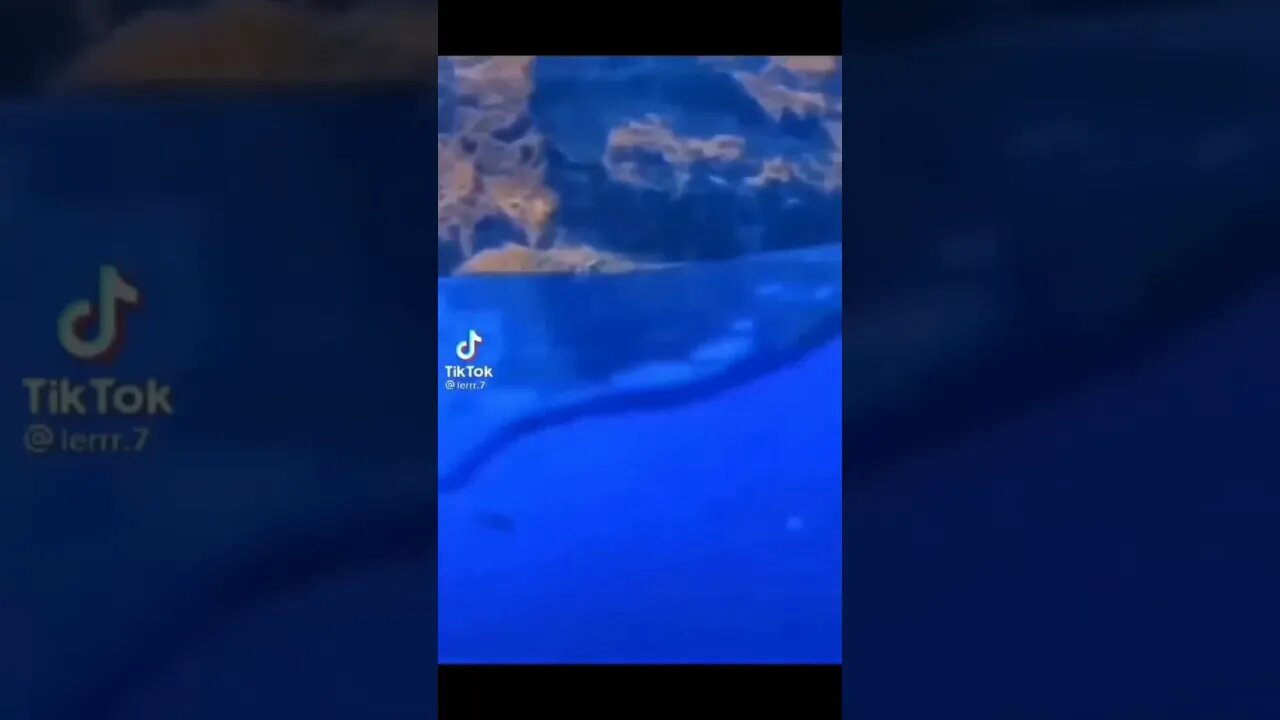 Beautiful Blue Sea #shorts #short #meme #memes #shortmemes #shortmeme