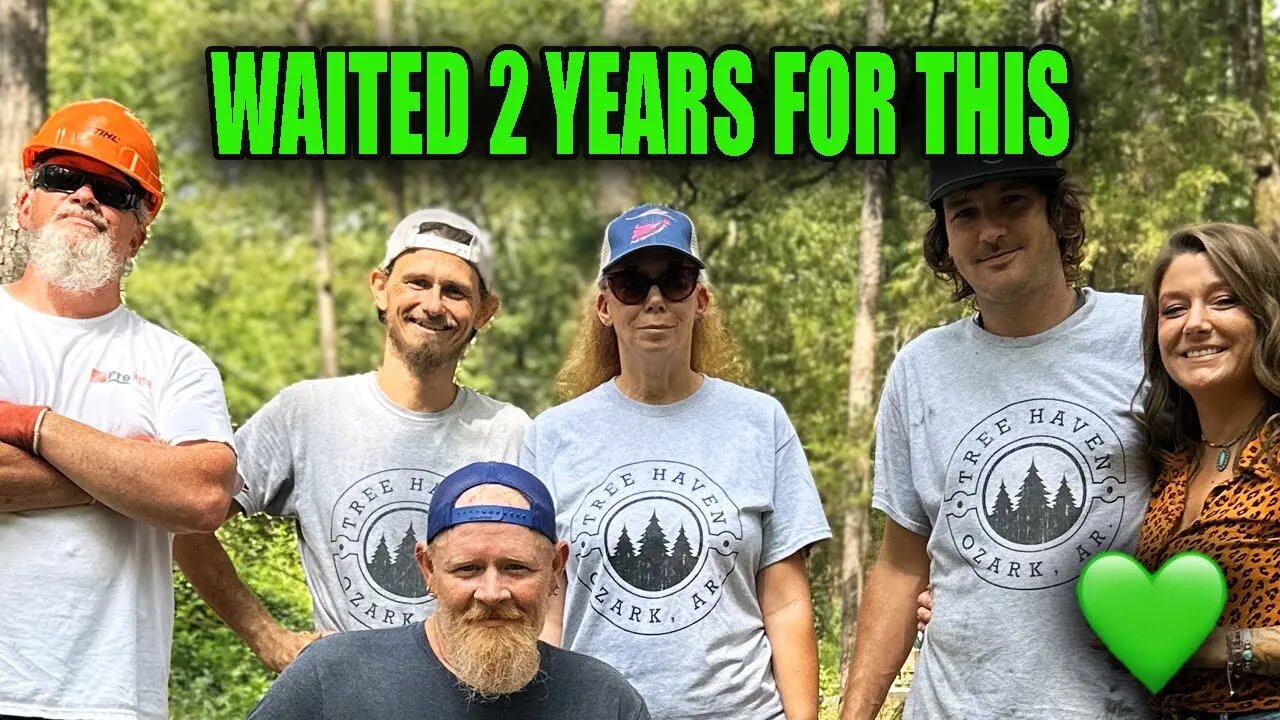 YOU HAVE TO SEE THIS, Tree Felling Skill, Dangerous Tree, Single Woman Builds, Tiny House, in Woods