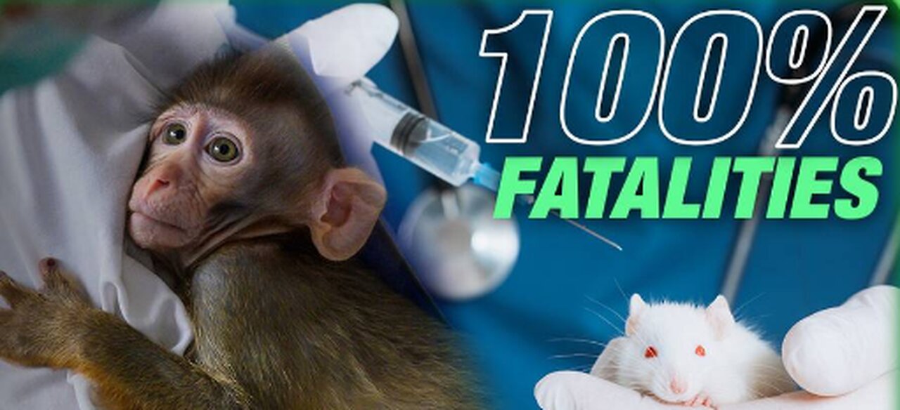Govt's/Universities Secretly Studied C19 Vax - B4 Rollout Shots Killed 100% of Mice & Monkeys