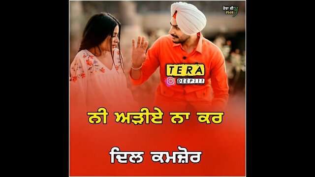 Punjabi song status