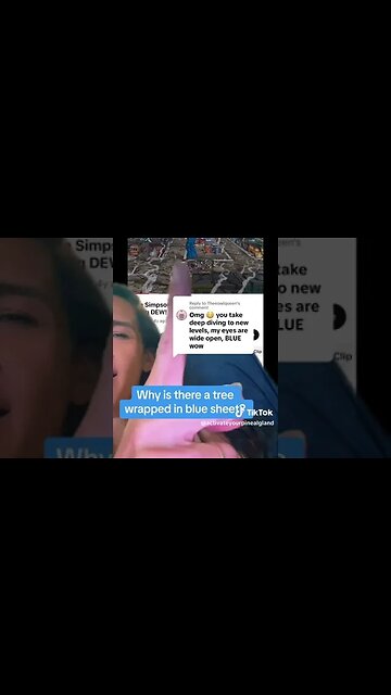 MAUI FIres Part 5 SIMPSONS prediction and BLUE TARP