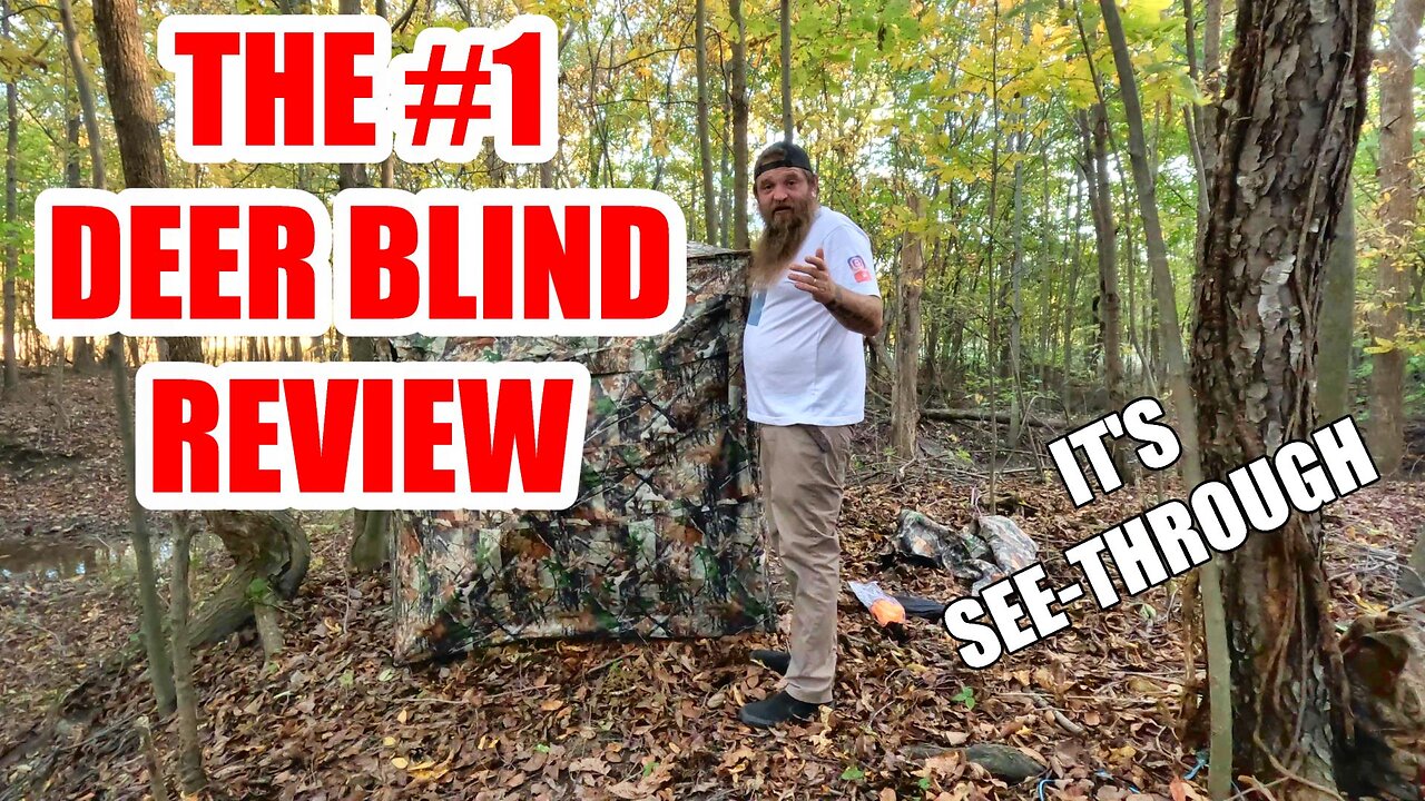 Best Amazon Deer Blind on AMAZON!