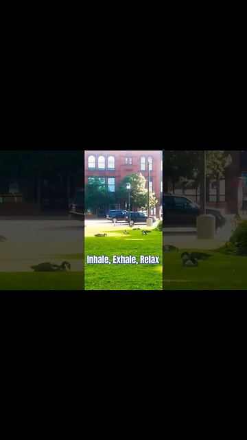 Meditate for Seven Seconds#healing#natue#love#short