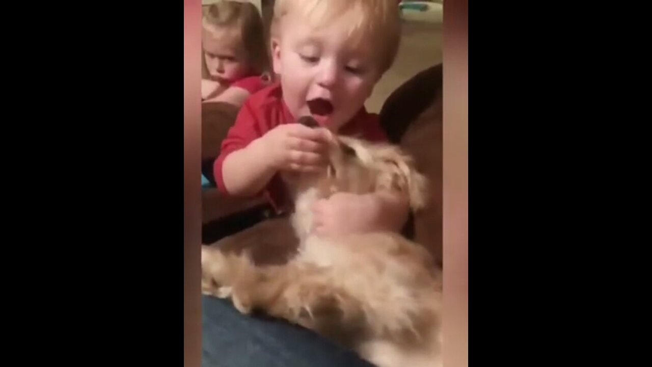 Babies and pets cutest video #Try not to LAUGH#💕