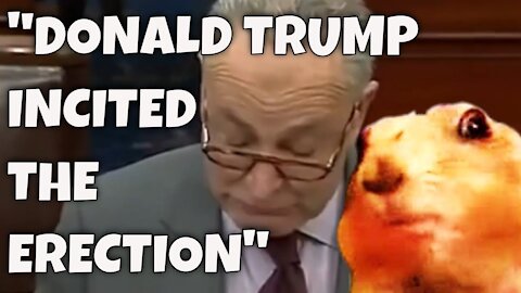 Schumer Erection Gaffe: "Donald Trump Incited the ERECTION" instead of Insurrection!