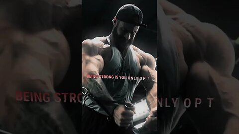 your only option #aesthetics #bodybuilding