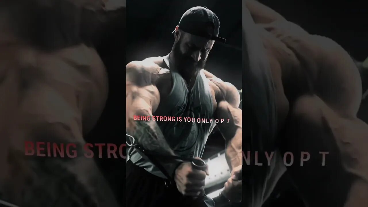 your only option #aesthetics #bodybuilding
