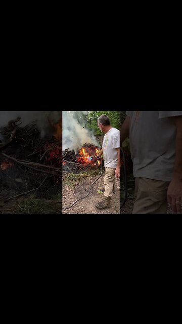 Propane Torching Roots and Japanese Knotweed