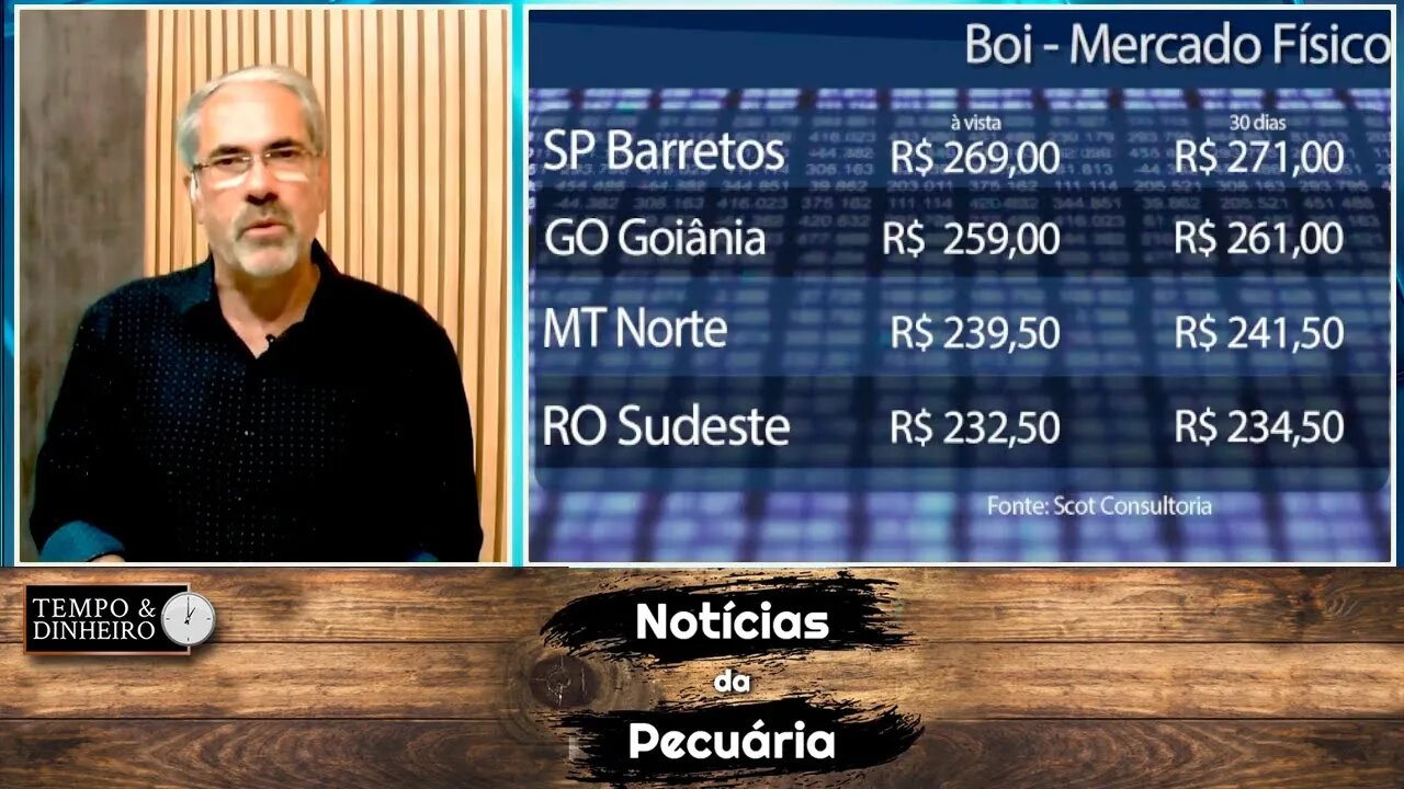 Boi gordo patina enquanto observa protestos e se prepara para festas de fim de ano