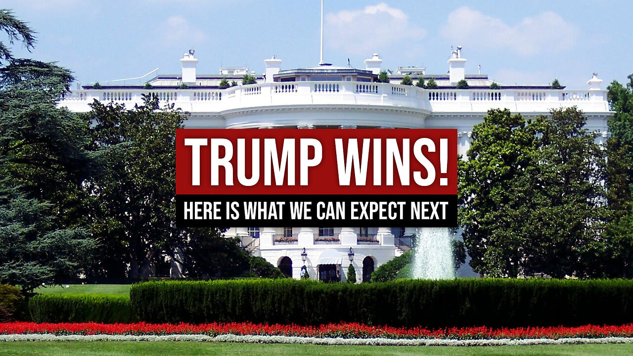 Trump Wins! Here is What We Can Expect Next