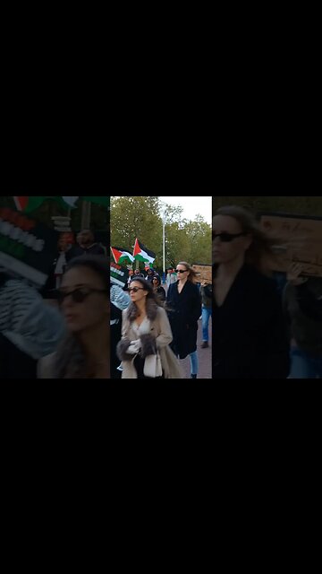 PRO-PALESTINE RALLY AT BUCKINGHAM PALACE