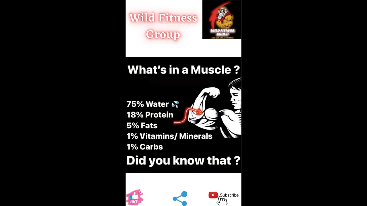 🔥What's in a muscle🔥#fitness🔥#wildfitnessgroup🔥#shorts🔥