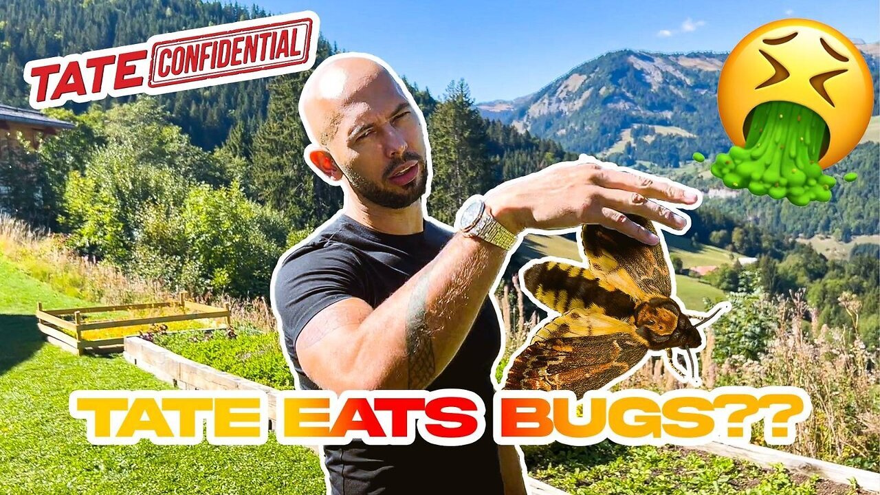 Tate Confidential Ep. 167 | Eating bugs in the mountains