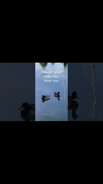 Create Good Vibes; Choose What Flows From U #peaceful #inspiration #visualmeditation #synchronicity