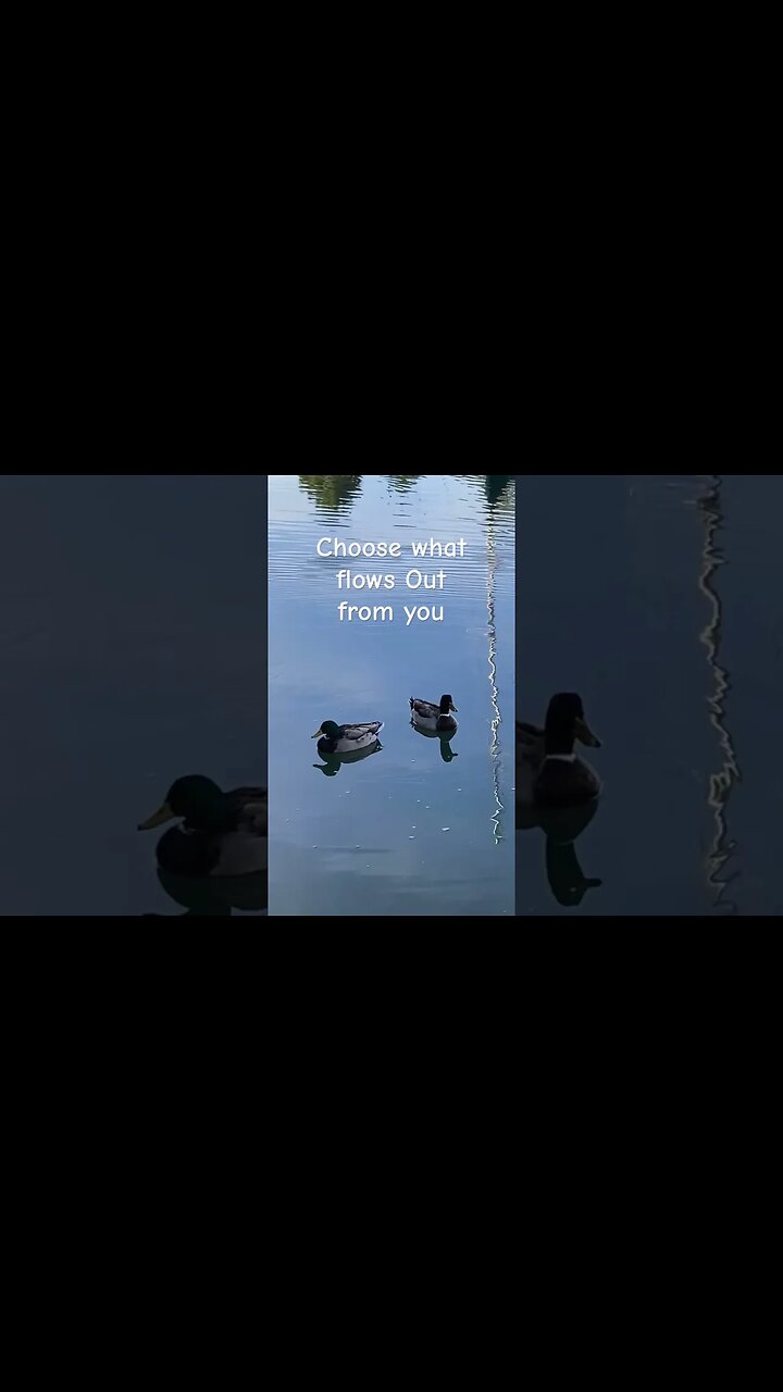 Create Good Vibes; Choose What Flows From U #peaceful #inspiration #visualmeditation #synchronicity