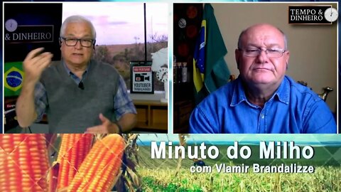 Milho tem plantio lento no Sul devido ao frio