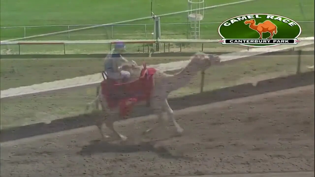 Canterbury Park Extreme Day