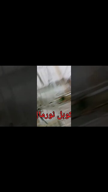 كوبل بادجي هوكو نورمال كيوت مرحبا