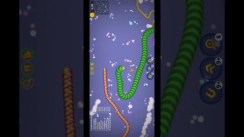 Shorts CASUAL AZUR GAMES Worms Zone .io - Hungry Snake 53-160
