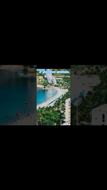 🇨🇴 Country FUN facts about Colombia South America #shorts