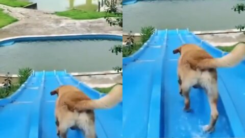 Tom's funny moment at water park