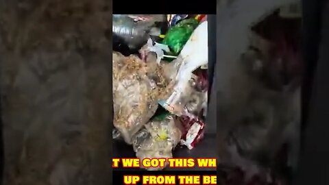 All This Came From Thailand Beaches!