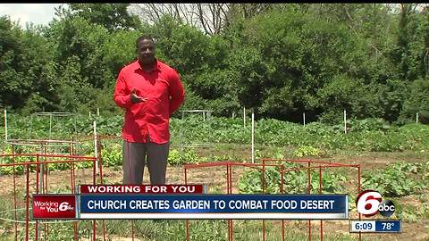 Far Eastside church creates garden to combat one of Indy's food deserts