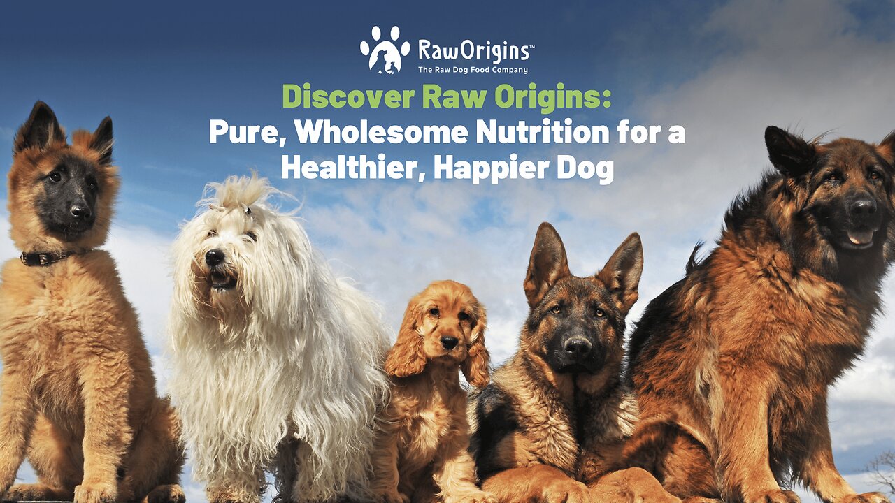 Discover Raw Origins: Pure, Wholesome Nutrition for a Healthier, Happier Dog