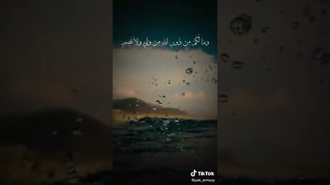 Find 'islamic' on TikTok TikTok Search 8