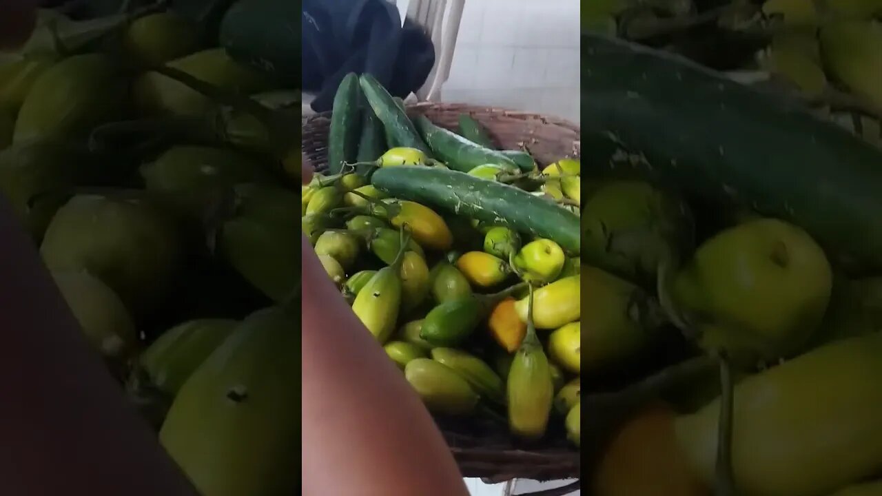 #mercado das frutas de Itabaianinha