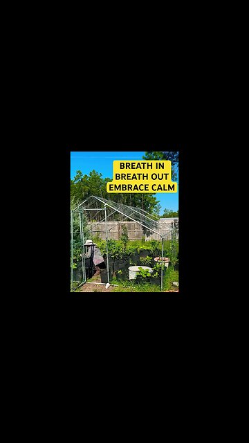 ASMR CALM GARDEN #shortsfeed #asmr#calm #goodvibes #asmrwatersound #calmingsounds #antistress