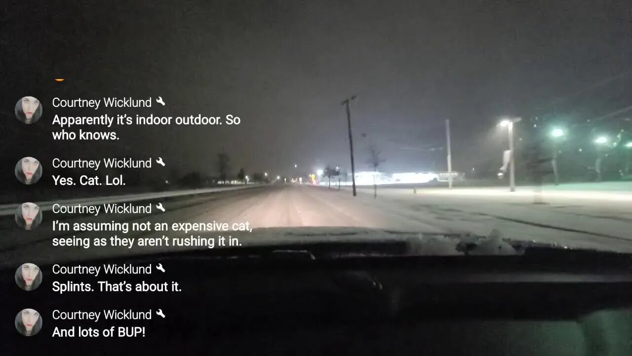 2/2/22 Snowing and stuff