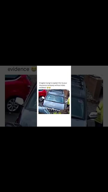 I have so many questions 💔💔🤔 #shorts #viral #subscribe #shortvideo #reels #funny #dog #viralreels