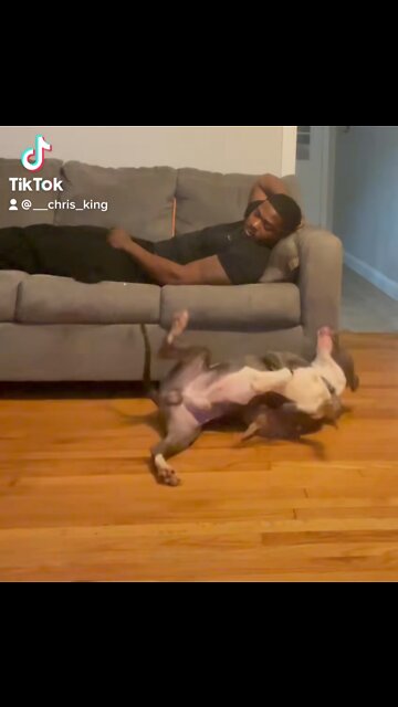 When bullying your little sister goes wrong