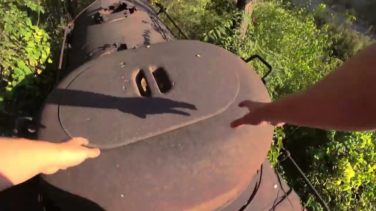 Abandoned Train in Illinois Woods