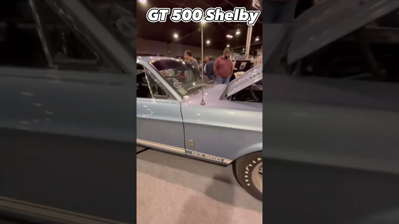 Rare Shelby GT 500 at MCACN! #shorts