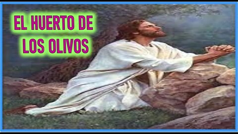 EL HUERTO DE LOS OLIVOS - CAPITULO 229 - VIDA DE JESUS Y MARIA POR ANA CATALINA EMMERICK