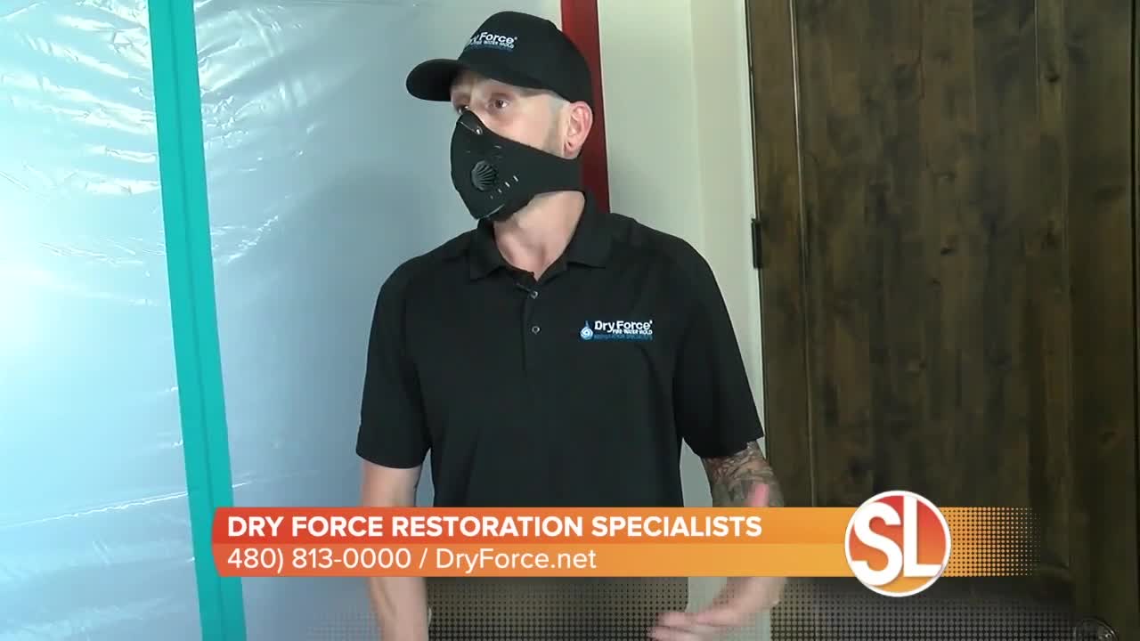 Dry Force Restoration Specialists: Protecting your home from viruses during this crucial time