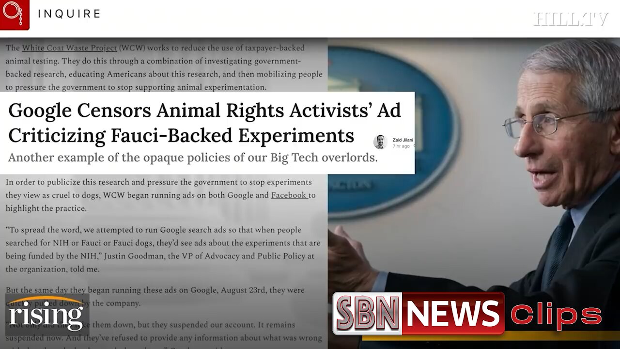 Google Accused of Censorship by Animal Rights Advocates, Interference on Behalf of Dr. Fauci? - 3840