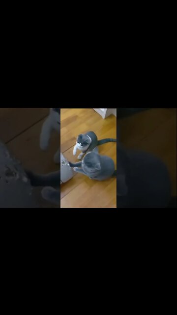 How to win Free Manicure @...# short